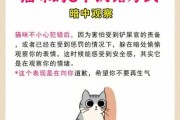 猫犯了错怎么教育（猫咪犯了错）