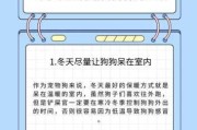 狗狗过冬攻略（小狗过冬的方式是什么意思）