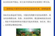 水族箱水质介绍及换水方法（水族箱的水怎么变清）