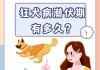 养狗的好处,为什么有狂犬病毒（为什么狗有狂犬病还有那么多人养）