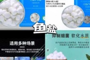 养鱼用盐和家庭吃的盐区别（养鱼用哪种盐好）