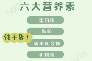 原来维生素对狗狗那么重要吗（原来维生素对狗狗那么重要吗为什么）