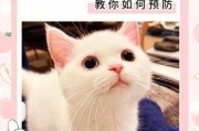 猫咪异位性皮肤炎（猫咪异位性皮炎怎么治才能除根）