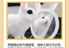 我要熊猫兔（我要熊猫吧）