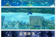 东京的水族馆哪个好（东京水族馆 双向摩天轮）