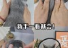 猫咪体外驱虫的正确方法（猫咪体外驱虫怎么进行）