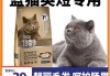 年龄大的猫（年龄大的猫咪吃什么猫粮好）