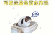 益生菌对猫有什么好处（益生菌猫可以长期吃吗）