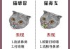 猫传染性鼻气管炎病毒和猫疱疹病毒（猫传染性鼻气管炎病毒和猫疱疹病毒一样吗）