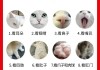 怎么检查猫咪的健康状态（怎么能看出猫咪是否健康）