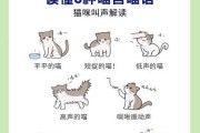 猫咪的不同叫声代表什么（猫咪不同叫声的含义）