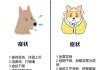 犬瘟主要症状（犬瘟主要症状有哪些）