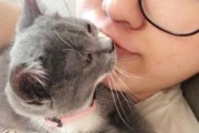 猫为什么总亲人嘴（猫咪喜欢亲人嘴巴什么意思）