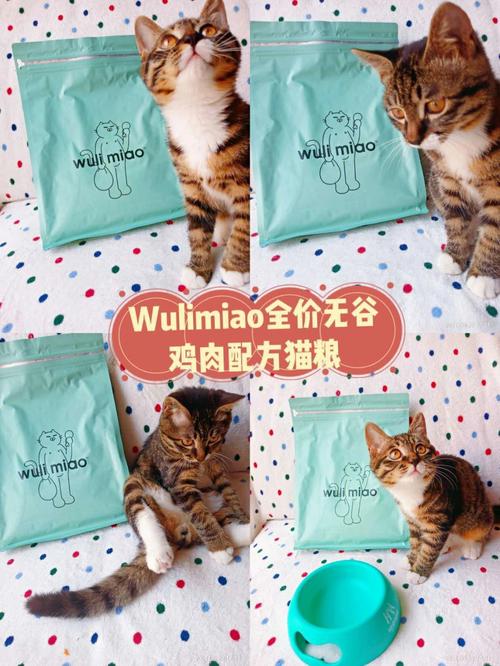 自制猫粮：满足爱猫的营养需求的基本材料及制作方法