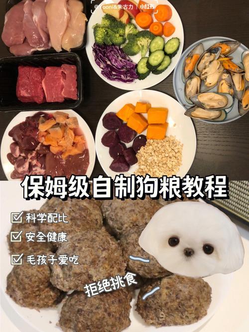 金毛狗粮自制简易方法：满足爱犬营养需求的基本配方