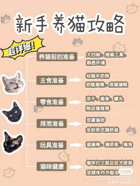 养猫前需要准备什么东西（养猫前需要准备什么物品）