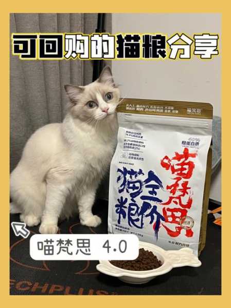 布偶猫粮选择（布偶猫粮选择哪个牌子）