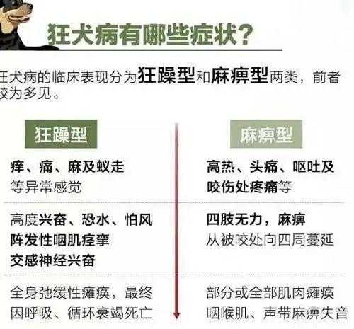 狂犬病的常见症状（狂犬病的常见症状有）