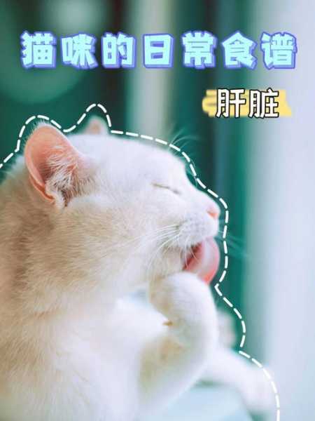 猫可以吃猪肝不（猫可以吃猪肝儿吗）