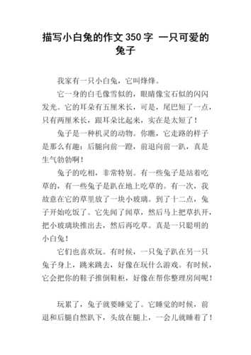 关于兔子一些基本介绍的句子（关于兔子的介绍作文）