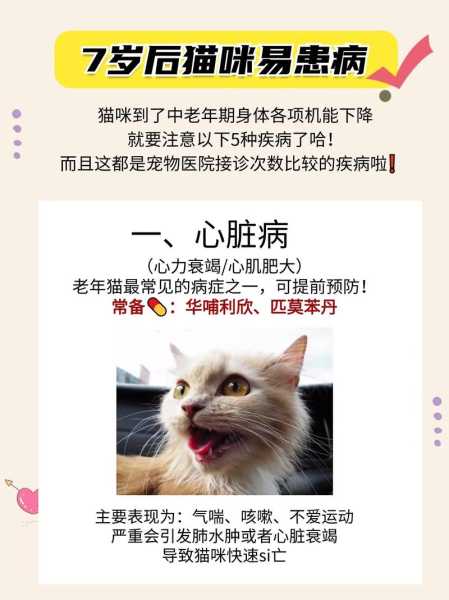 猫咪的定期检查很重要吗（如何看待猫咪定期体检）