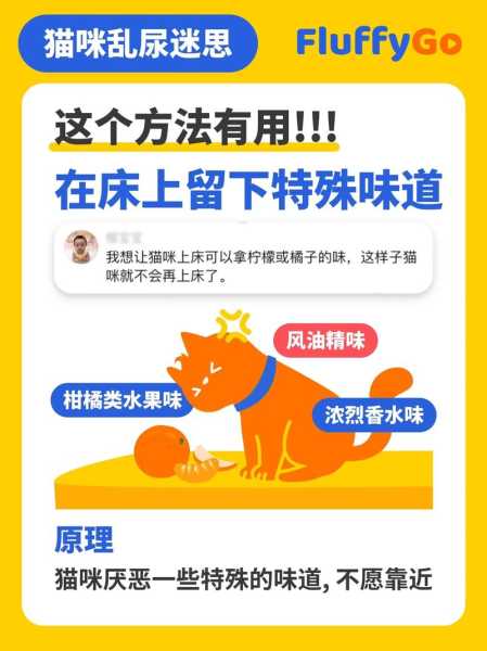 猫咪乱尿的原因和解决方法（防止猫乱尿最有效的方法）