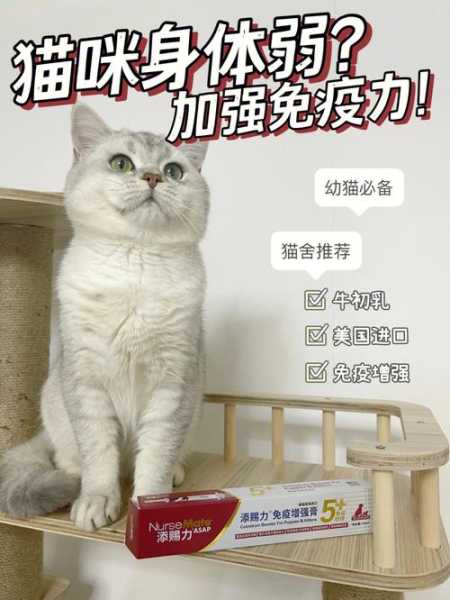 如何帮犬猫提高抵抗力和免疫力（宠物如何增强免疫力）