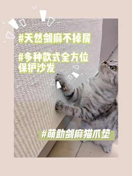 训练猫咪磨爪子可以放嘴里吗（猫磨爪子是为了让爪子更锋利吗）