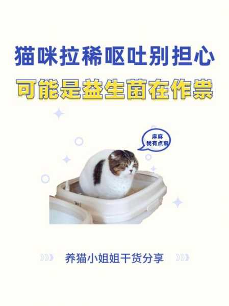 益生菌对猫有什么好处（益生菌猫可以长期吃吗）