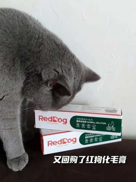 猫用化毛膏是什么原理（猫用化毛膏是什么原理制成的）