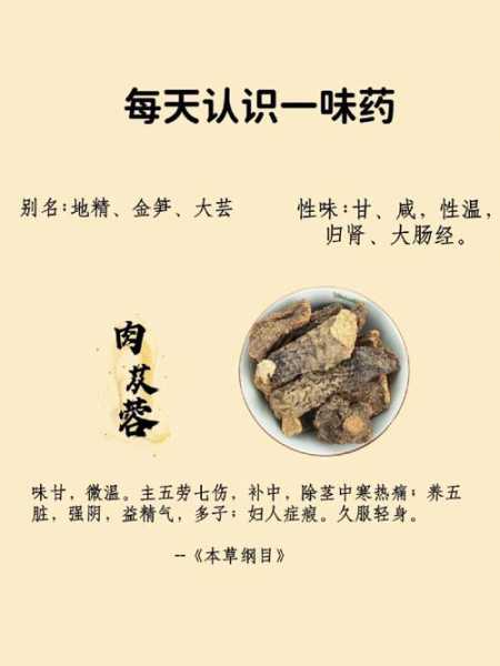 筒子肉的功效与作用（筒子肉的功效与作用禁忌）