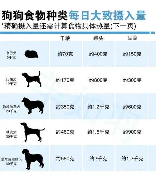 泰迪犬一顿饭吃多少（泰迪一餐吃多少克狗粮）