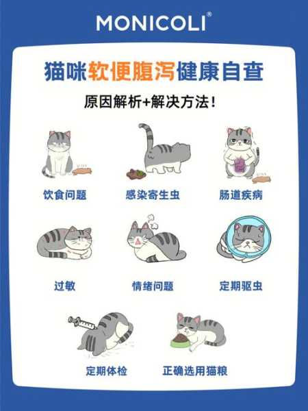 猫咪随便拉屎怎么办（猫咪随便拉屎怎么办啊）