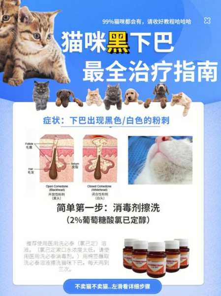 猫长粉瘤怎么办（猫粉刺怎么清理）