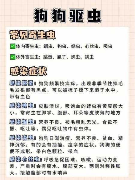 狗狗驱虫的表现（狗狗驱虫长什么样）