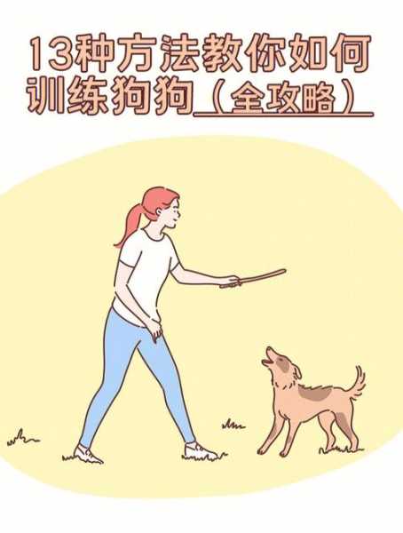 怎么样训练边牧幼犬不乱咬（怎么样训练边牧幼犬不乱咬人）