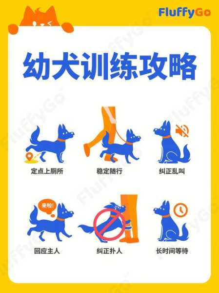 德国牧羊犬训练方法步骤（德国牧羊犬怎么训练牧羊）