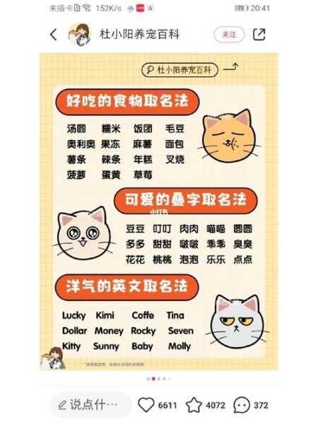 猫咪怎么能记住自己的名字（如何教猫咪记住自己的名字）