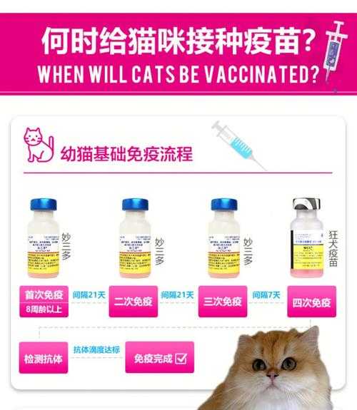 猫咪疫苗几个月开始打（猫咪疫苗几个月开始打妙三多）