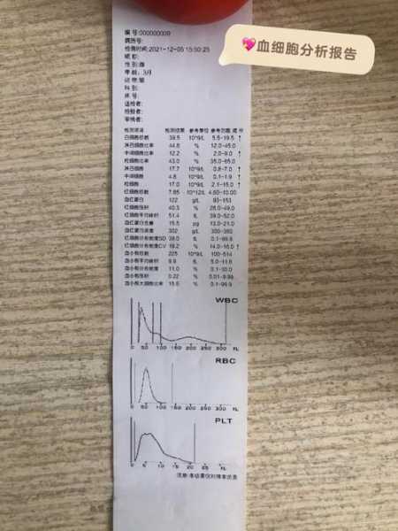 猫咪异常排尿病因分析报告（猫咪异常排尿病因分析报告）