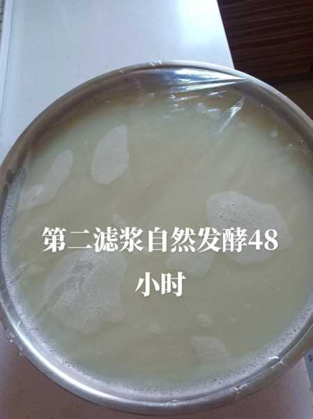 酸豆汁的家常制作方法（酸豆汁的家常制作方法大全）