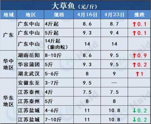 泰国斗鱼价格品种高低（泰国斗鱼一般市场价是多少）