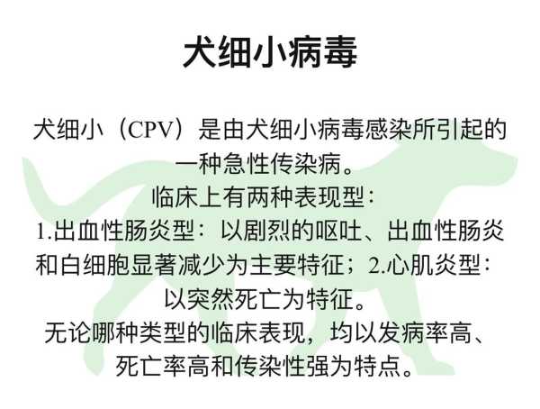 什么是犬细小病毒性肠胃炎（犬肠炎型细小病毒的合理治疗方案）