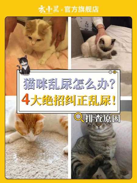 家里的母猫乱撒尿该怎么办呢（家里的母猫乱撒尿该怎么办呢图片）