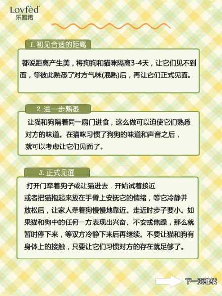 为什么猫狗都喜欢男的（为什么猫狗都喜欢男的呢）