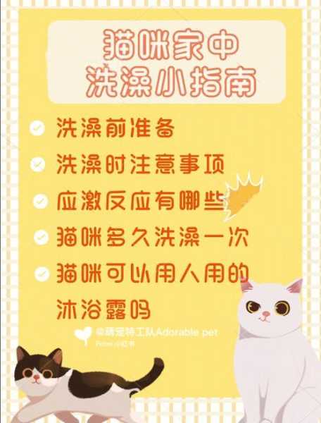 给猫咪洗澡的七个小技巧是什么（给猫洗澡应该怎么洗）