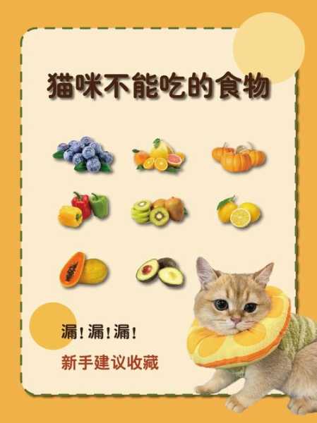 猫最怕吃什么食物（猫最怕什么蔬菜水果）