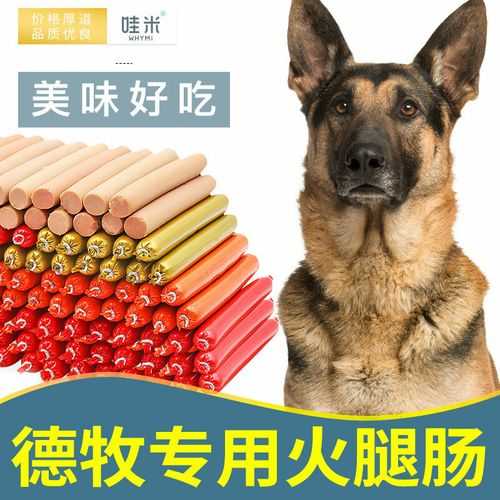 德国牧羊犬食物（德国牧羊犬食物吃什么）