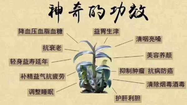 霍山石斛的功效和作用主治什么病（霍山石斛十大功效）