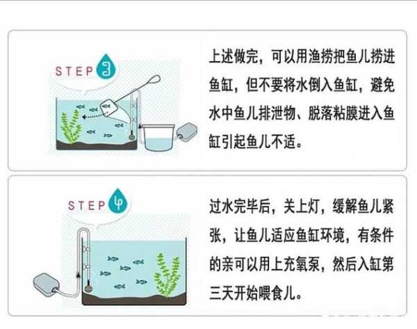 饲养金鱼的换水技术（家养金鱼换水方法）